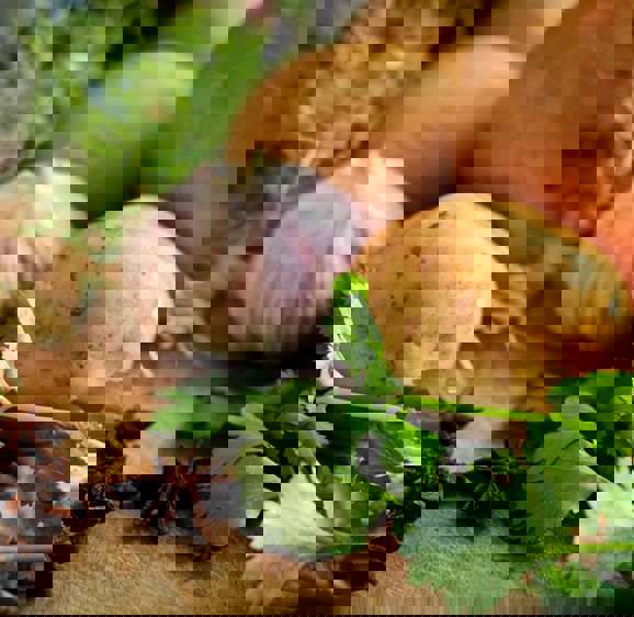 Bo-Kapp Tour Bo-Kapp Tour