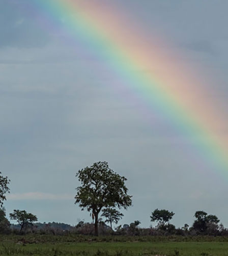 Rainbow across the plains Rainbow across the plains