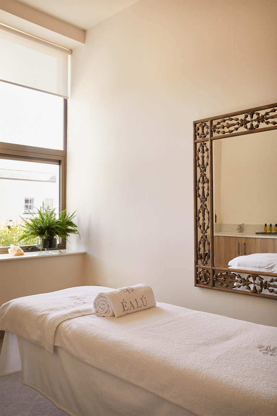 Éalú Treatment Room Portrait