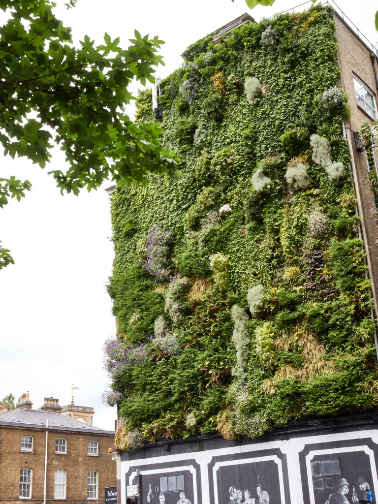 Bbar Exterior Bbar Exterior