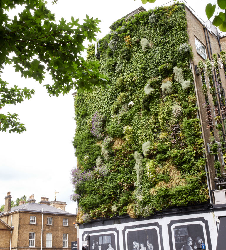 Bbar Exterior Bbar Exterior