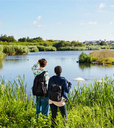 London Wetlands Centre London Wetlands Centre