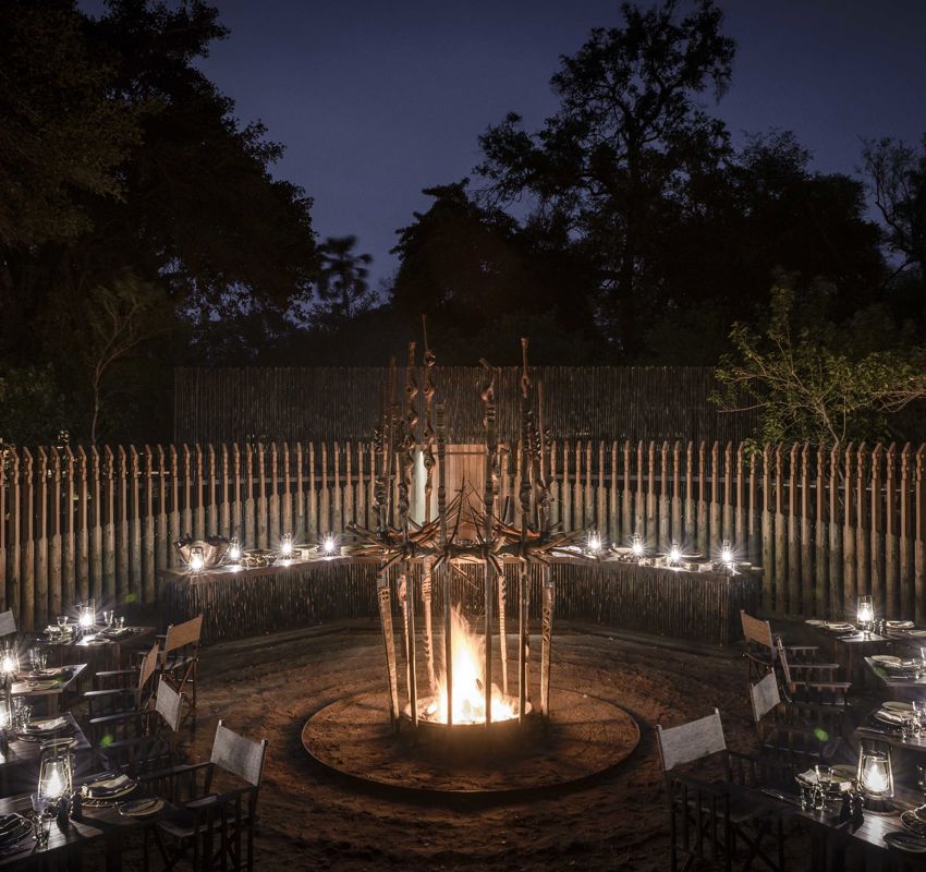 Xigera boma Xigera boma