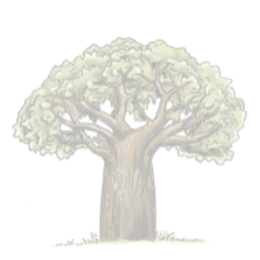 Baobab tree illustration