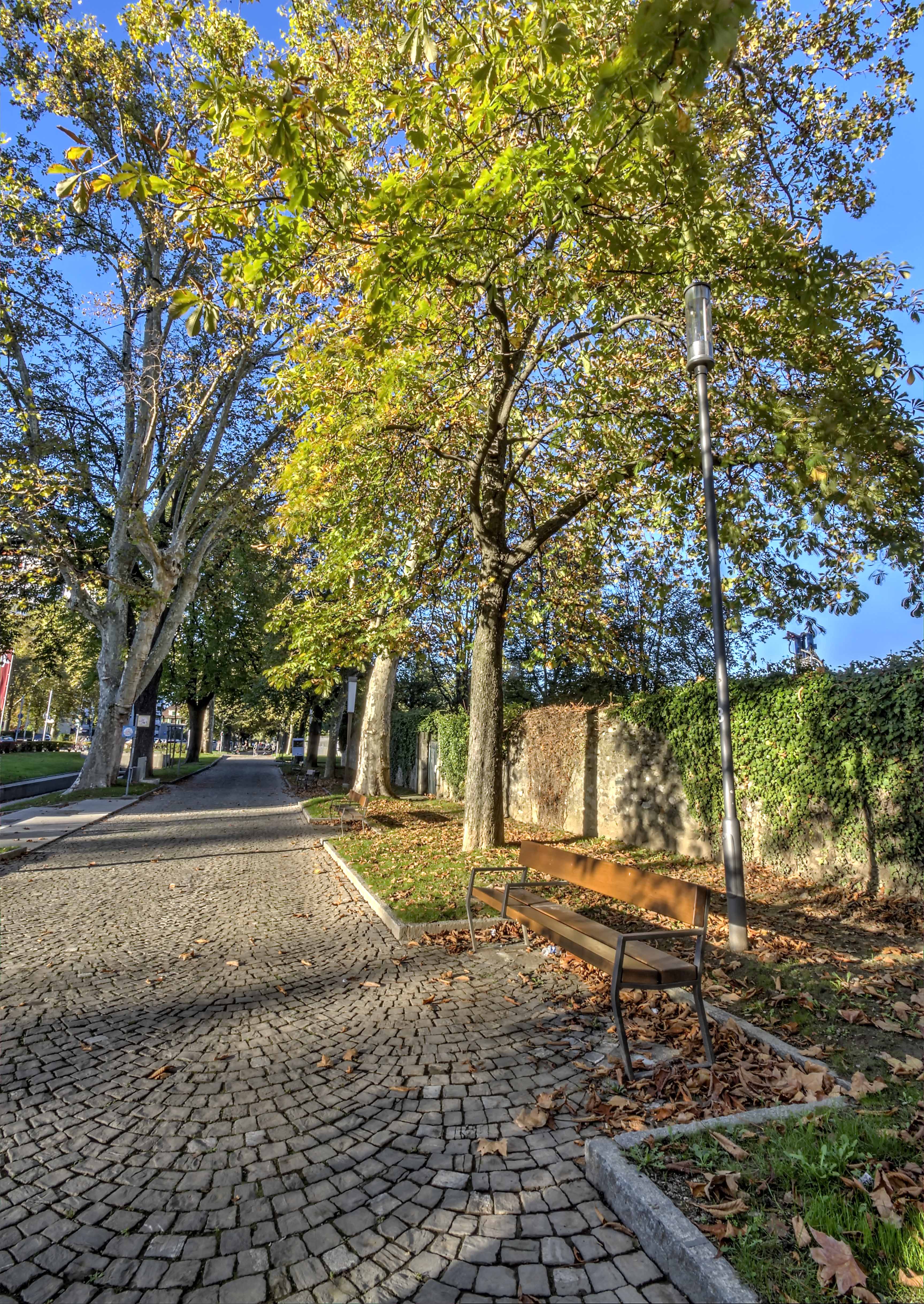 Empty Footpath By Trees In Park, Carouge, Switzerland