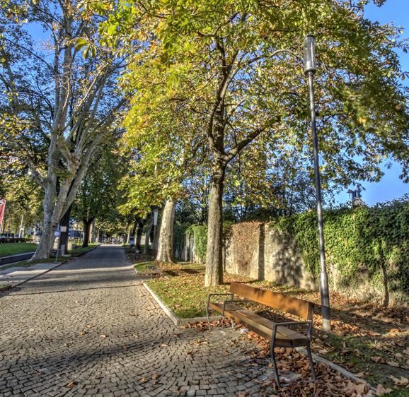 Empty Footpath By Trees In Park, Carouge, Switzerland Empty Footpath By Trees In Park, Carouge, Switzerland