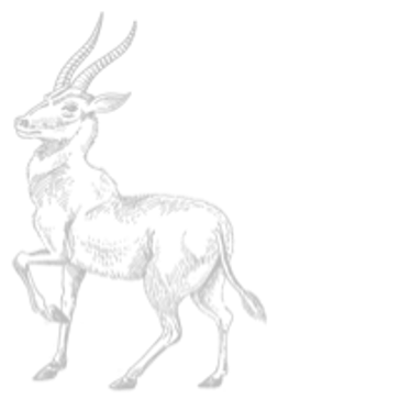 Bushmans Kloof Buck