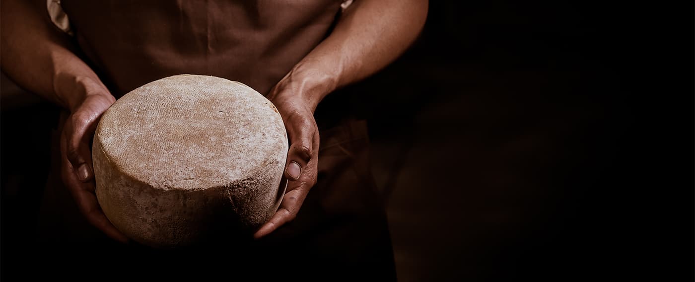 Hands holding a cheese wheel