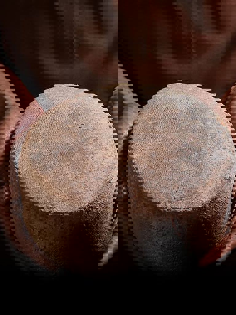 Hands holding a cheese wheel Hands holding a cheese wheel