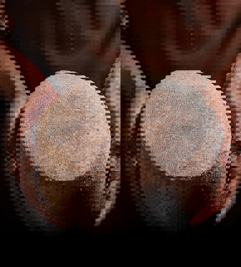 Hands holding a cheese wheel Hands holding a cheese wheel