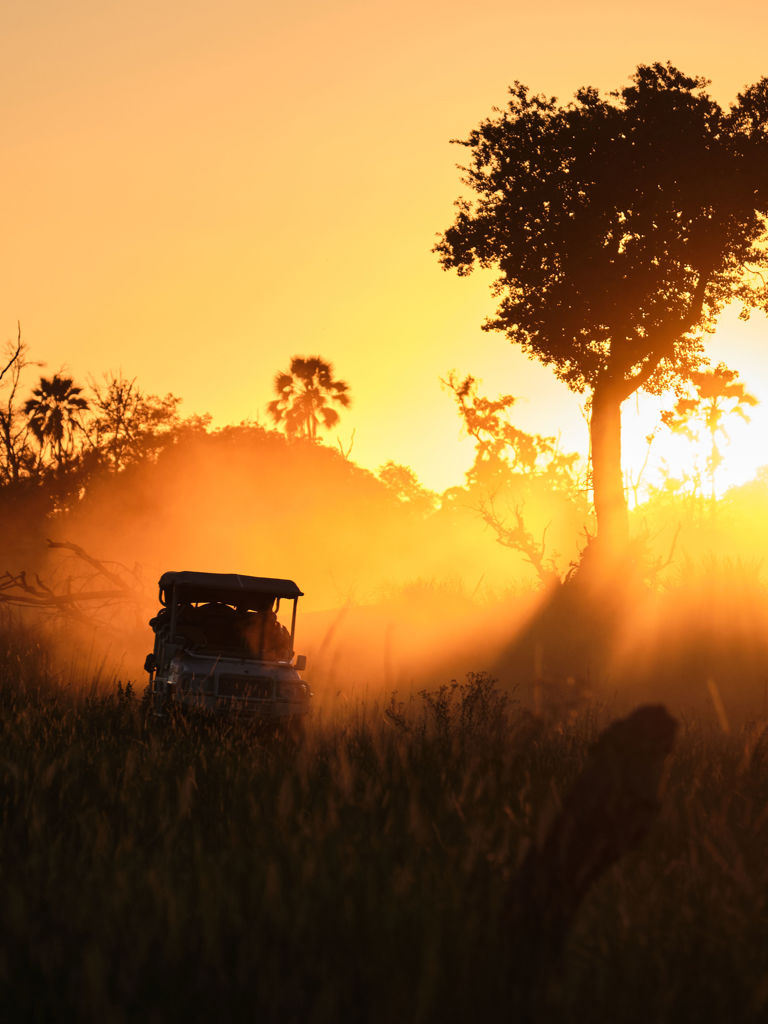 Xigera Game Drive Xigera Game Drive