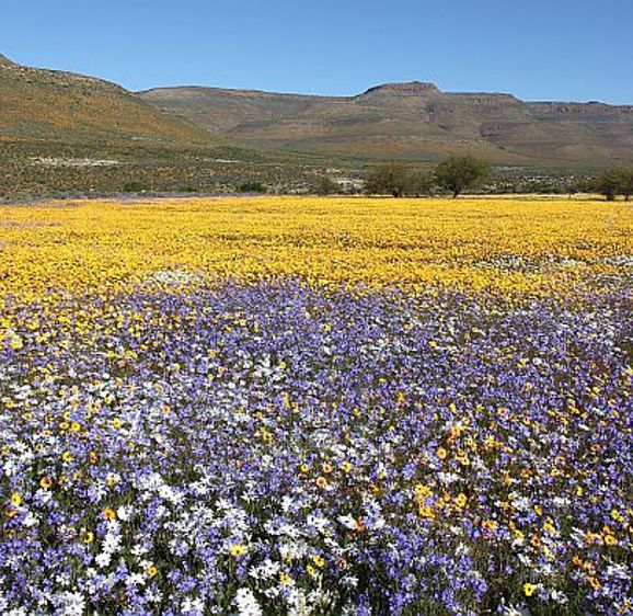 Biedouw Rivier Valley Biedouw Rivier Valley