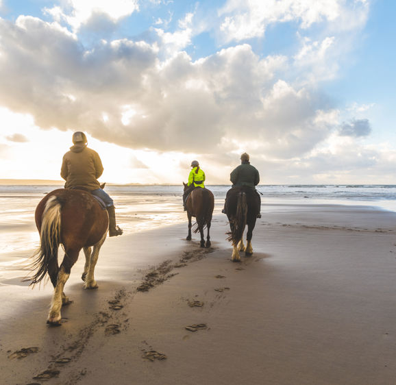 People horse riding on the beach. Three persons with horses at seaside, rear view with beautiful backlight. Sport, leisure and travel concepts People horse riding on the beach. Three persons with horses at seaside, rear view with beautiful backlight. Sport, leisure and travel concepts