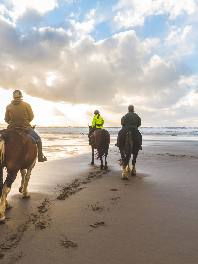 People horse riding on the beach. Three persons with horses at seaside, rear view with beautiful backlight. Sport, leisure and travel concepts People horse riding on the beach. Three persons with horses at seaside, rear view with beautiful backlight. Sport, leisure and travel concepts