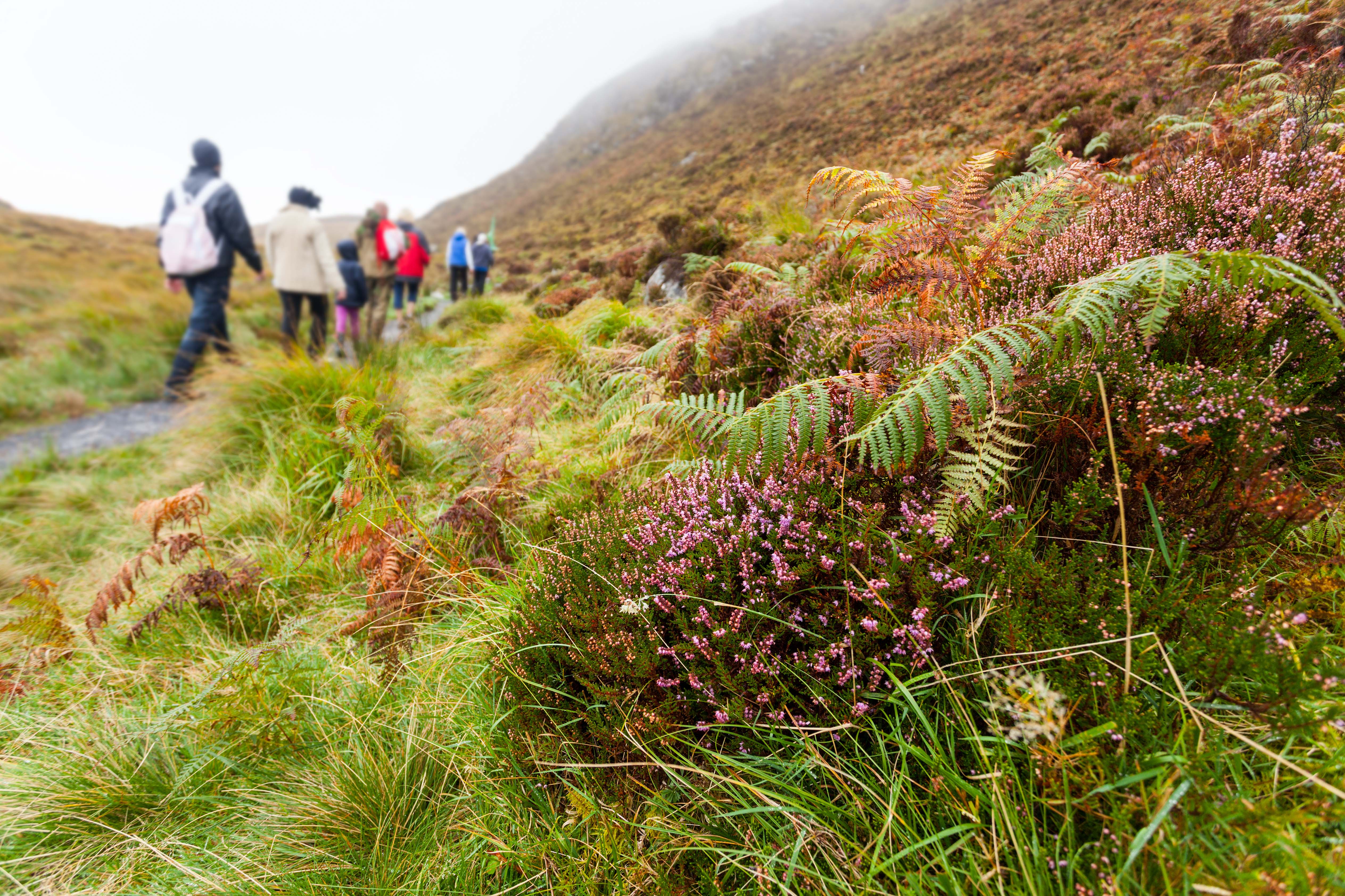 Hiking on Diamond Hill in Connemara, west of Ireland