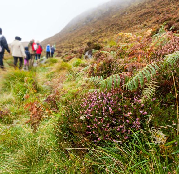 Hiking on Diamond Hill in Connemara, west of Ireland Hiking on Diamond Hill in Connemara, west of Ireland