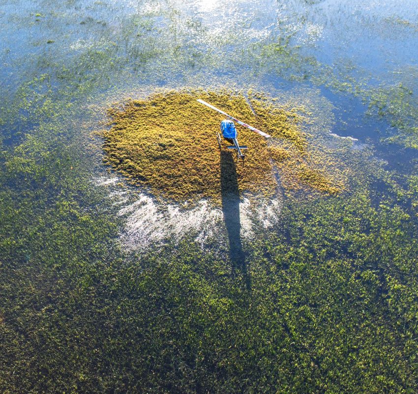 Helicopter Safari Helicopter Safari