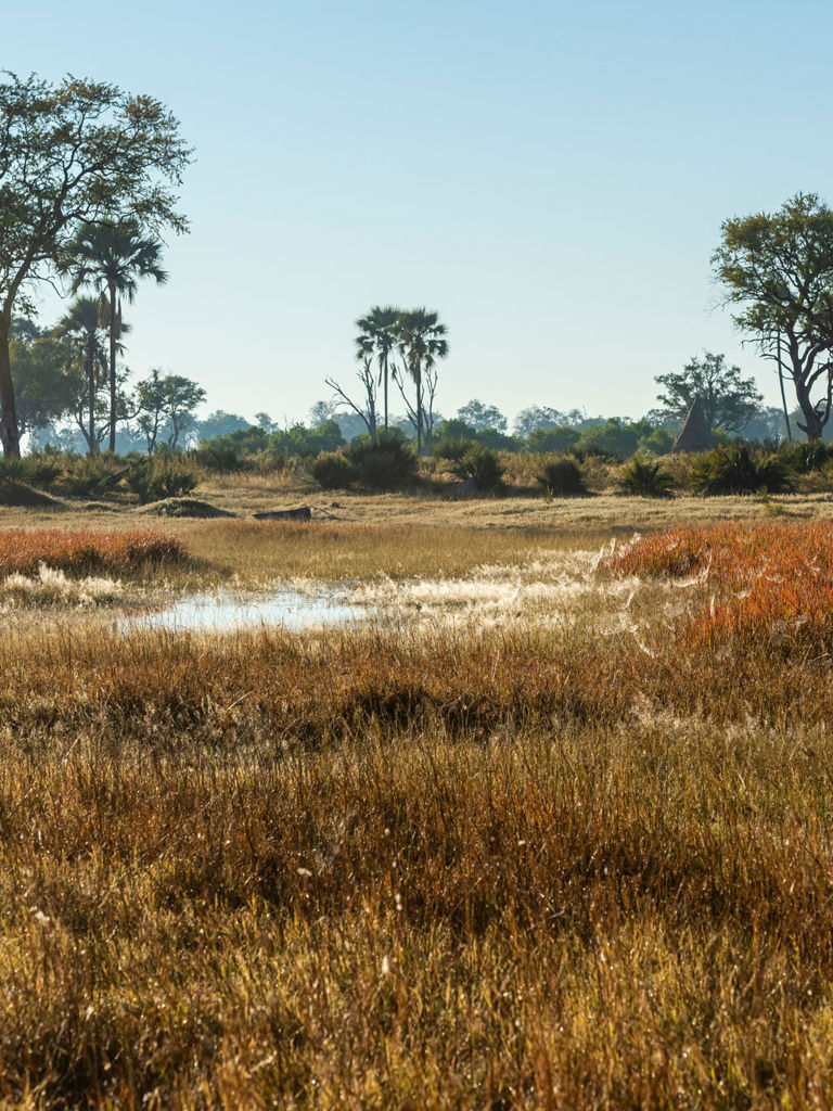 Xigera Scenic views Xigera Scenic views