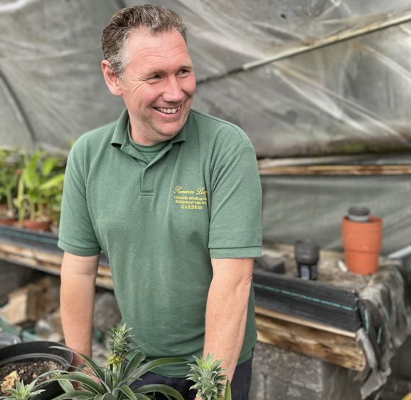 Summer Lodge Robin Andrews Summer Lodge Robin Andrews