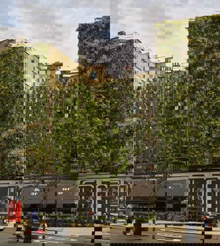 Picture of the Living Wall at The Rubens at the Palace Hotel Picture of the Living Wall at The Rubens at the Palace Hotel