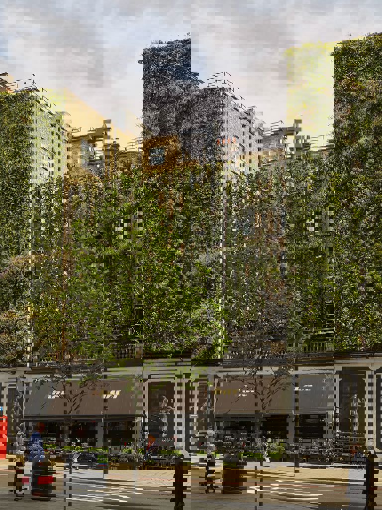 Picture of the Living Wall at The Rubens at the Palace Hotel Picture of the Living Wall at The Rubens at the Palace Hotel