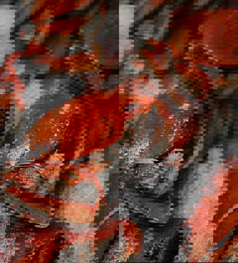 Crabs In A Fish Market On Ice Crabs In A Fish Market On Ice