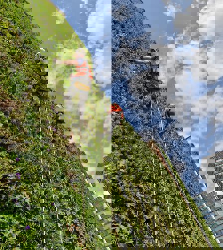 The Living Wall at The Rubens The Living Wall at The Rubens