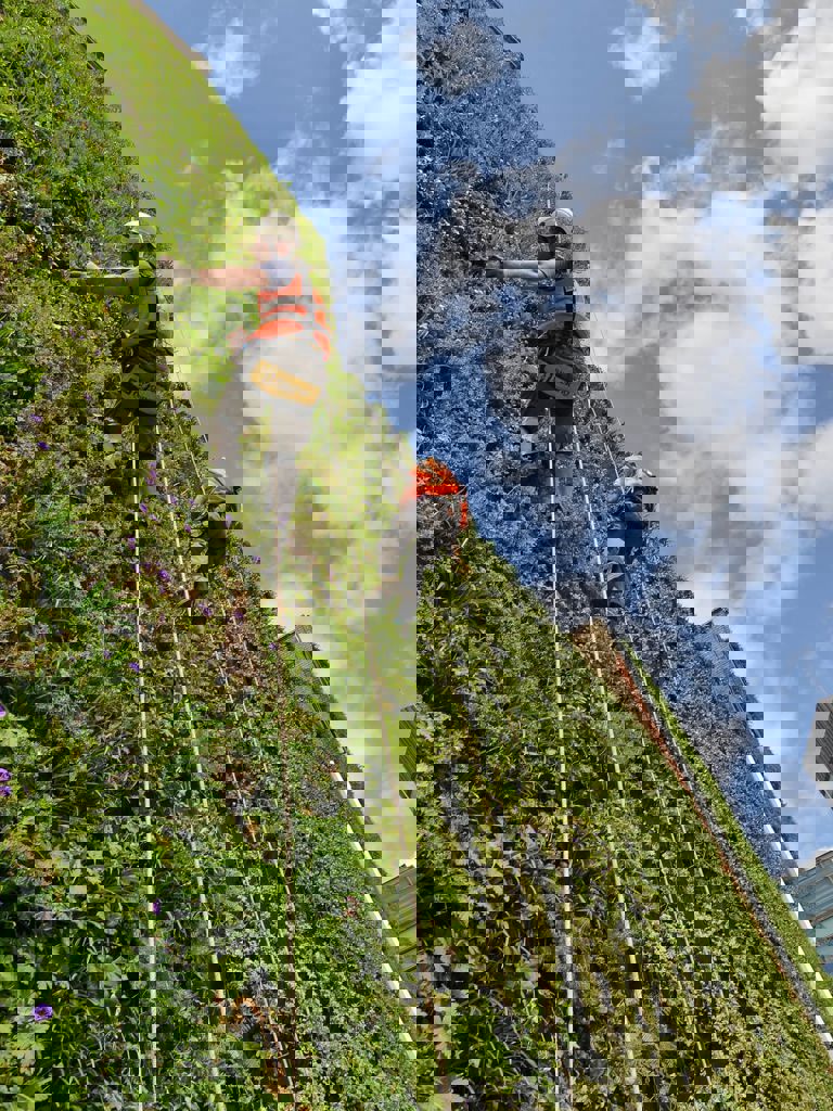 The Living Wall at The Rubens The Living Wall at The Rubens