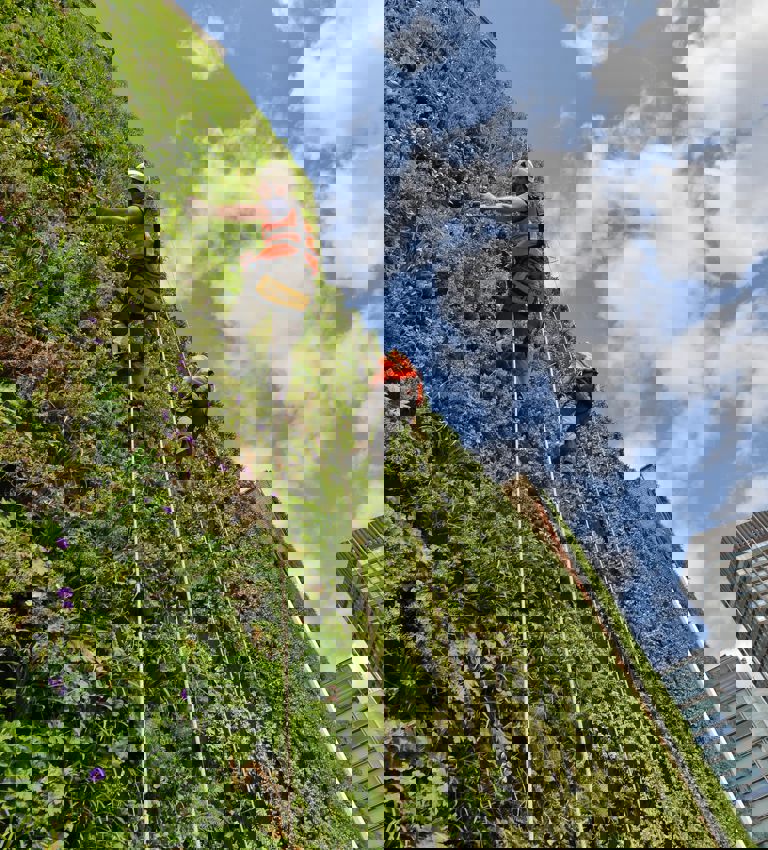 The Living Wall at The Rubens The Living Wall at The Rubens