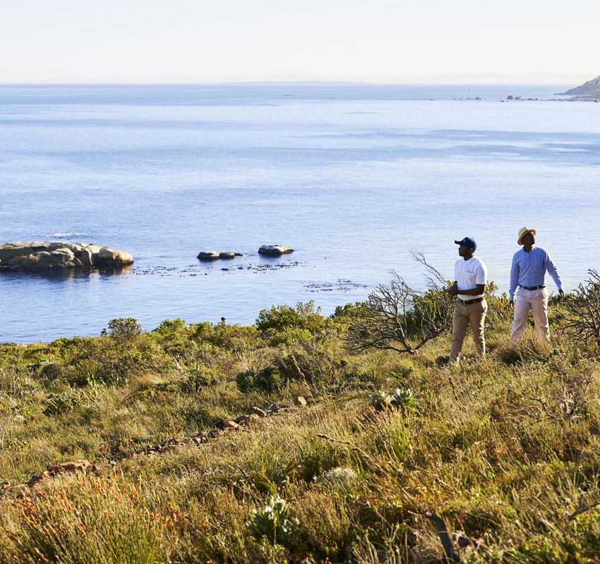Mountain Walks Mountain Walks
