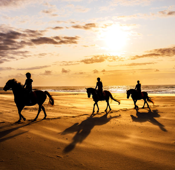 Riding Horses at the Beach Riding Horses at the Beach