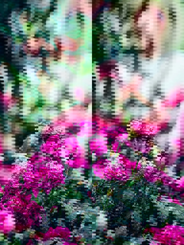 Chelsea Flower Show - unsplash Chelsea Flower Show - unsplash