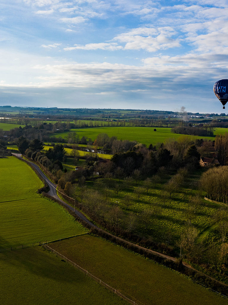Multi coloured balloon, framed by autumnal trees against a blue sky Multi coloured balloon, framed by autumnal trees against a blue sky