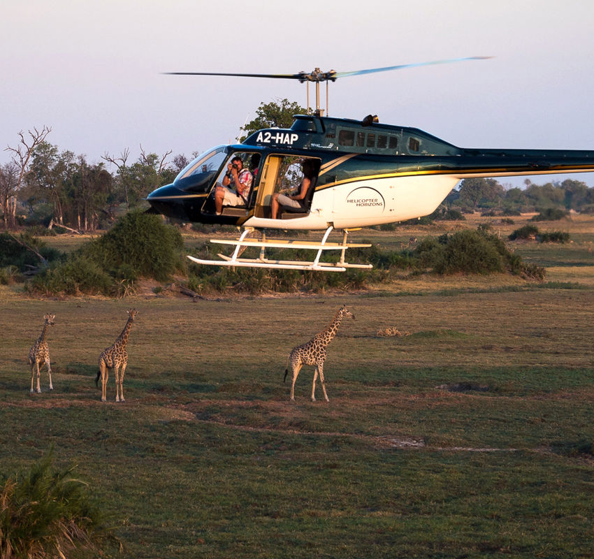Helicopter Safari Helicopter Safari