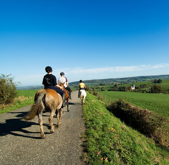 Horseriding in beautiful scenery M By Mark Kuipers Horseriding in beautiful scenery M By Mark Kuipers