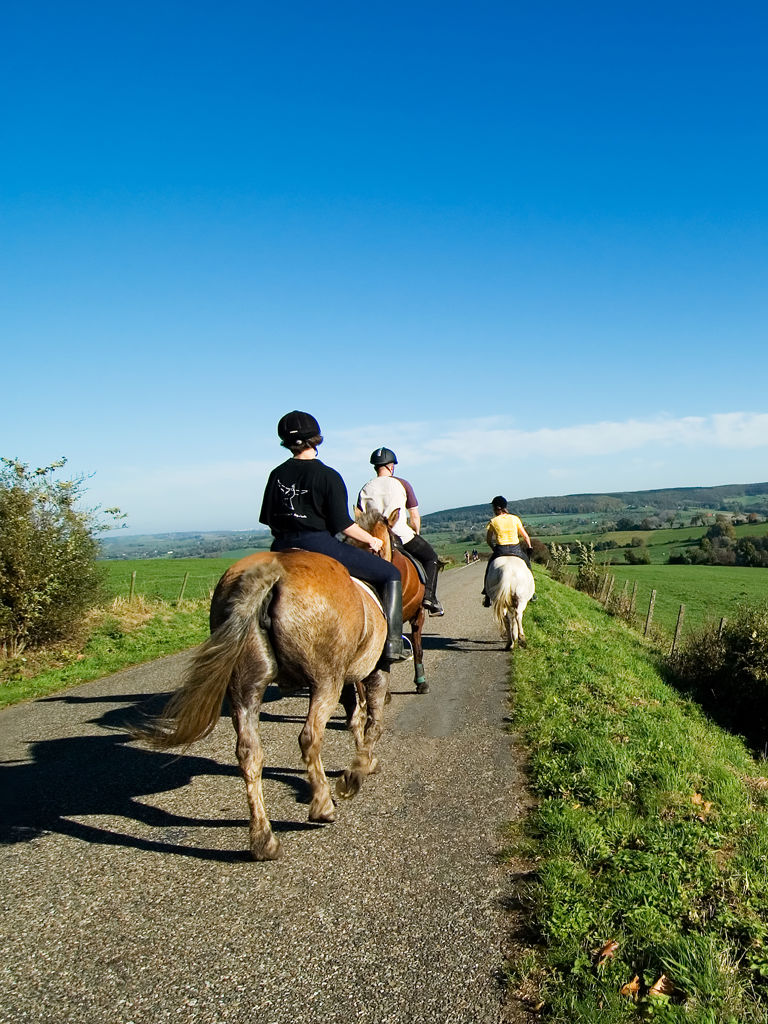 Horseriding in beautiful scenery M By Mark Kuipers Horseriding in beautiful scenery M By Mark Kuipers