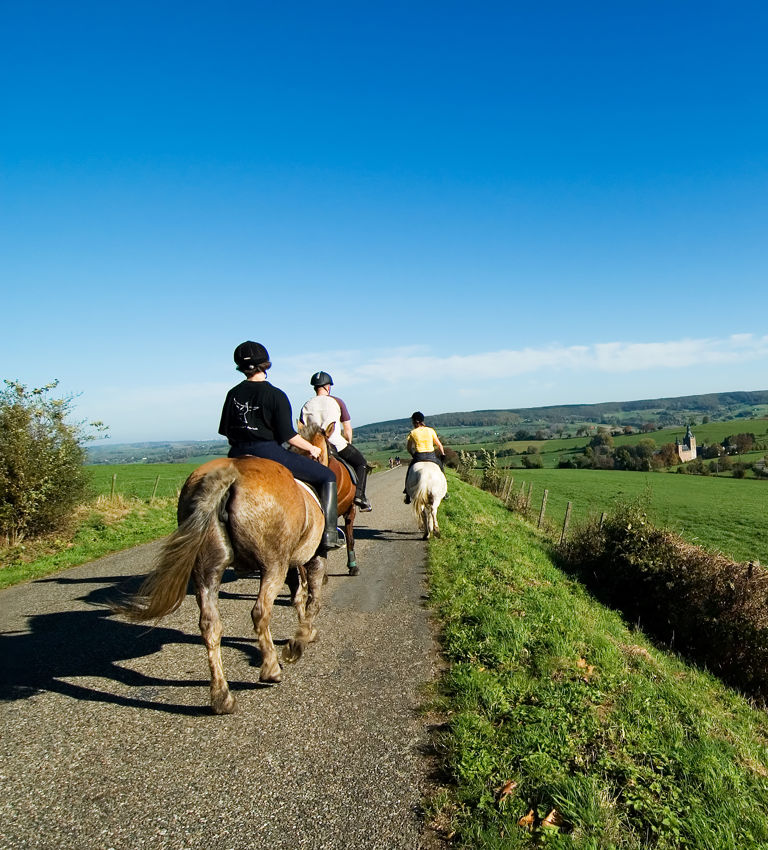 Horseriding in beautiful scenery M By Mark Kuipers Horseriding in beautiful scenery M By Mark Kuipers