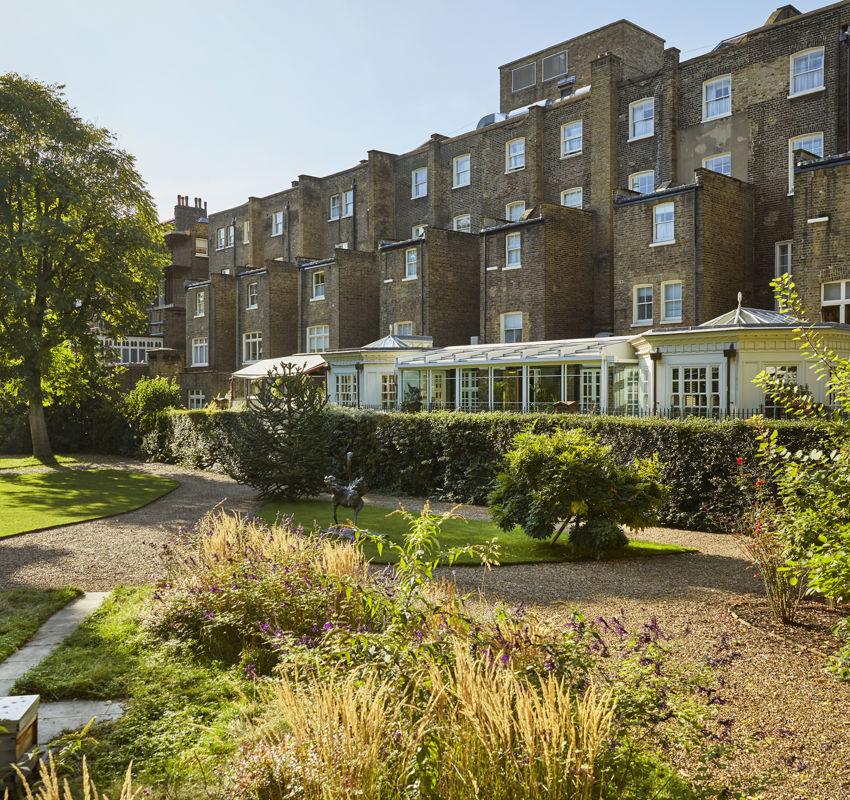 Hotel garden Hotel garden