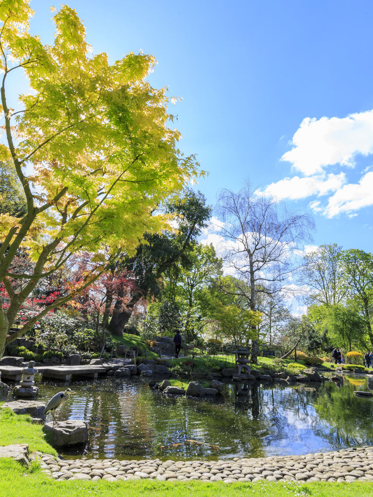 Beautiful landscape around Holland Park, London, United Kingdom Beautiful landscape around Holland Park, London, United Kingdom