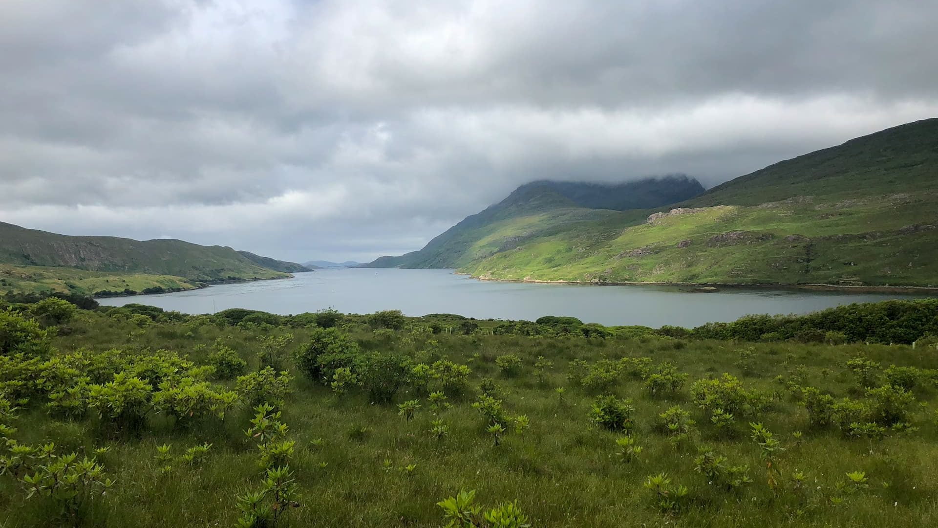 Landscape Of Killary Harbour Opt