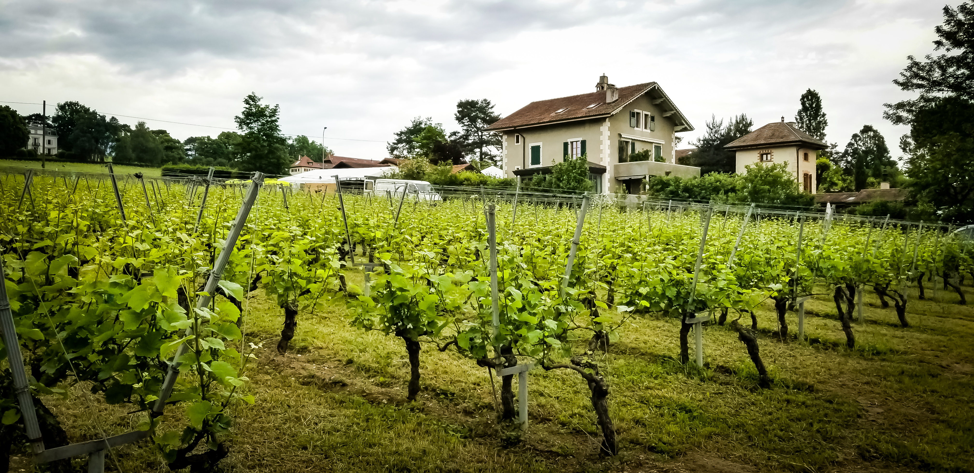 Rustic villa and vineyard on a hill in Satigny Satigny, Switzerland