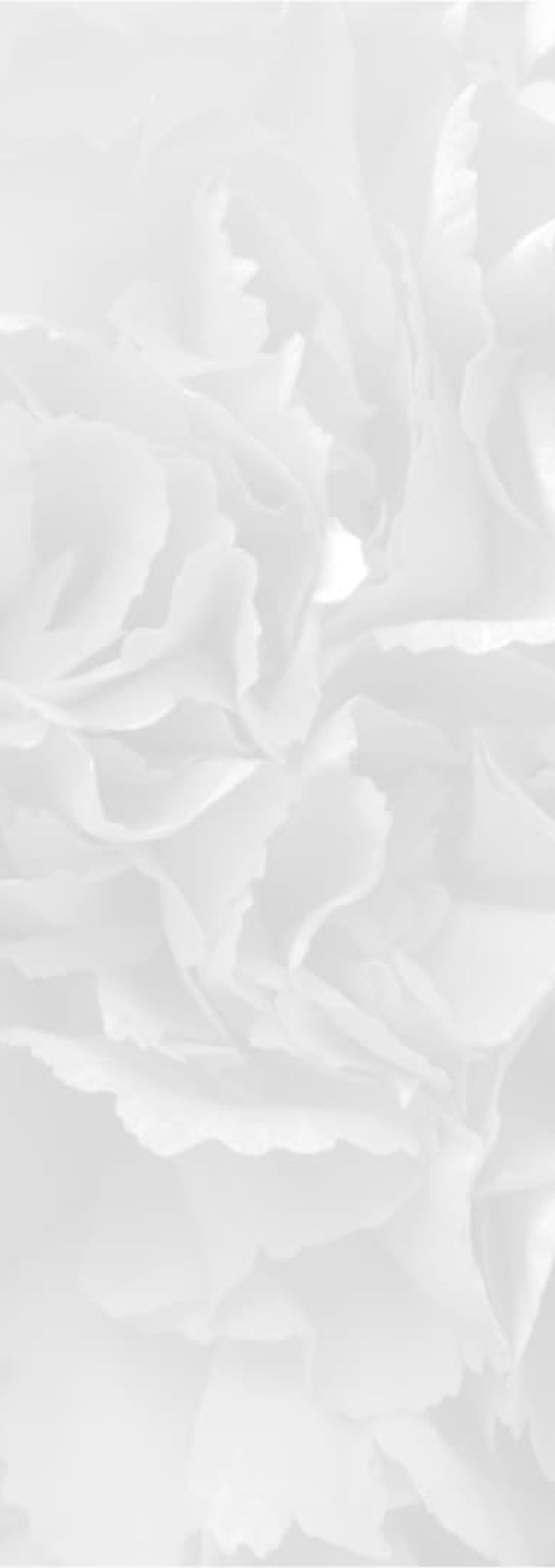 carnation pattern background carnation pattern background