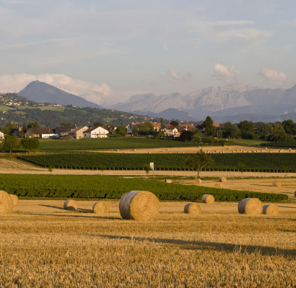 Chateau du Crest Chateau du Crest