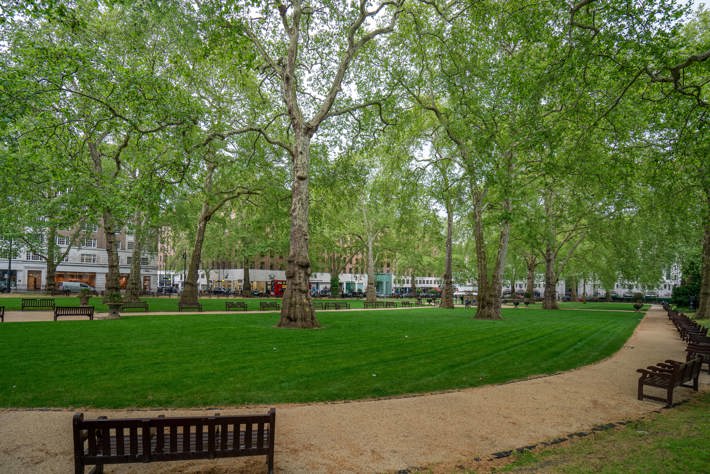 Berkeley Square in London