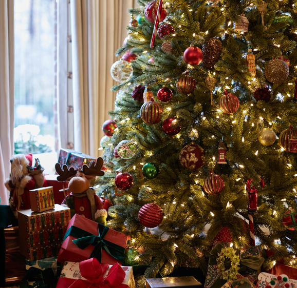 Egerton Christmas Tree Egerton Christmas Tree