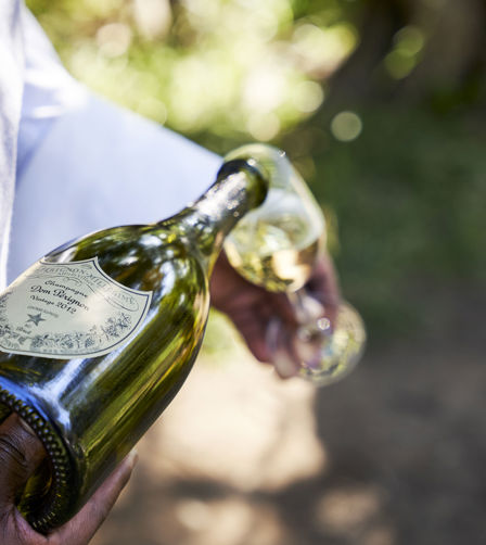 Picnic Service With Champagne Picnic Service With Champagne