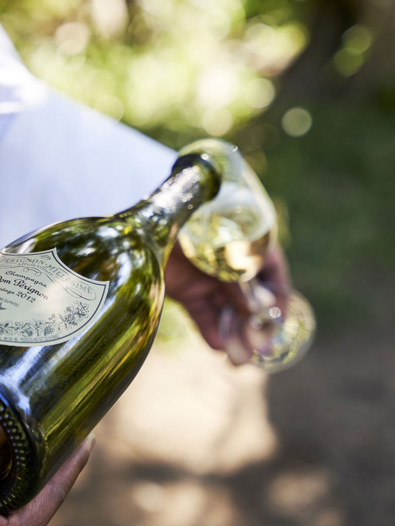 Picnic Service With Champagne Picnic Service With Champagne