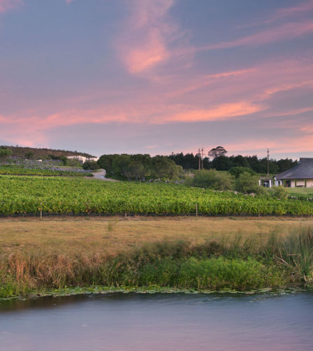 Bouchard Finlayson Farm Bouchard Finlayson Farm
