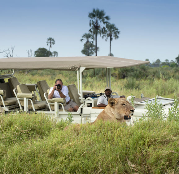 Safari drive Safari drive