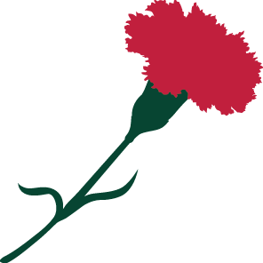 Carnation SVG